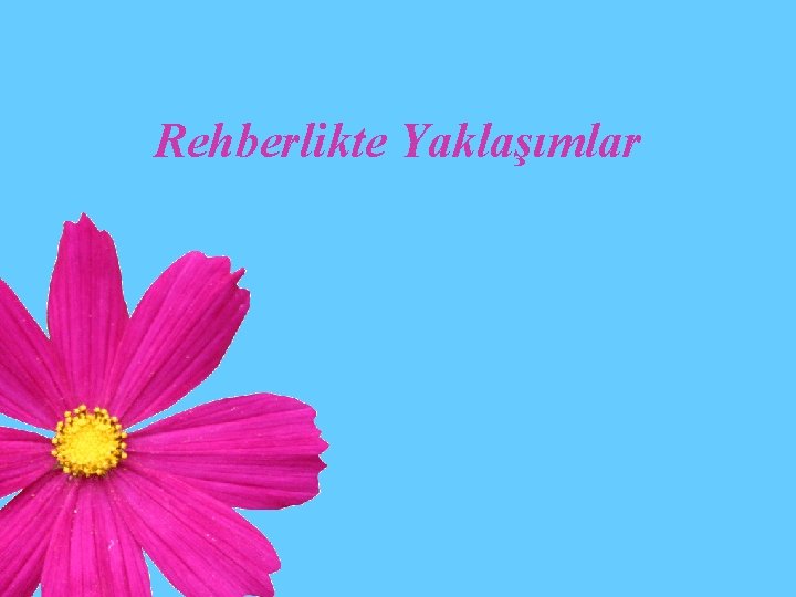 Rehberlikte Yaklaşımlar 