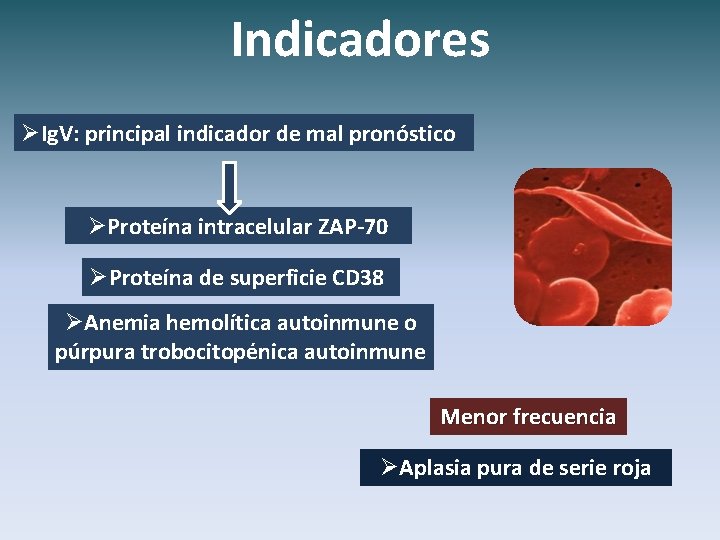 Indicadores ØIg. V: principal indicador de mal pronóstico ØProteína intracelular ZAP-70 ØProteína de superficie