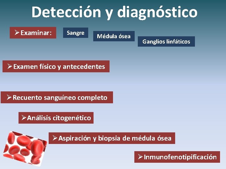 Detección y diagnóstico ØExaminar: Sangre Médula ósea Ganglios linfáticos ØExamen físico y antecedentes ØRecuento