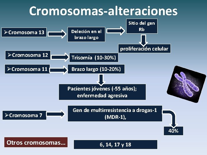 Cromosomas-alteraciones ØCromosoma 13 Sitio del gen Rb Deleción en el brazo largo proliferación celular