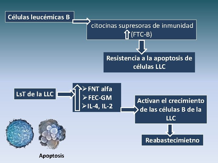 Células leucémicas B citocinas supresoras de inmunidad (FTC-B) Resistencia a la apoptosis de células
