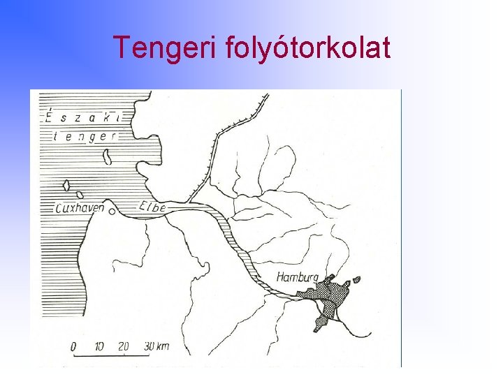 Tengeri folyótorkolat 