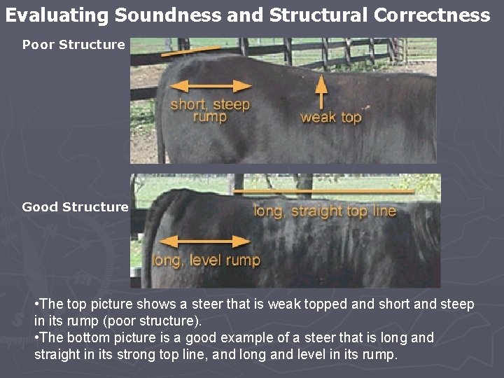 Evaluating Soundness and Structural Correctness Poor Structure Good Structure • The top picture shows