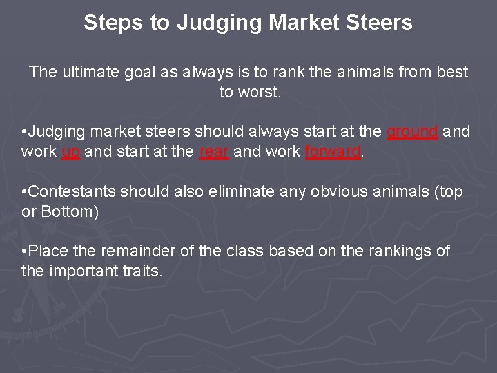 Steps to Judging Market Steers The ultimate goal as always is to rank the