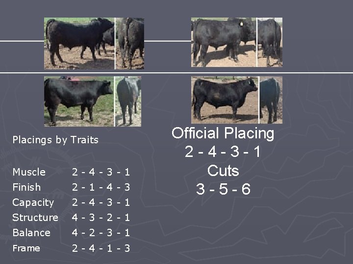 Placings by Traits Muscle 2 -4 -3 -1 Finish 2 -1 -4 -3 Capacity