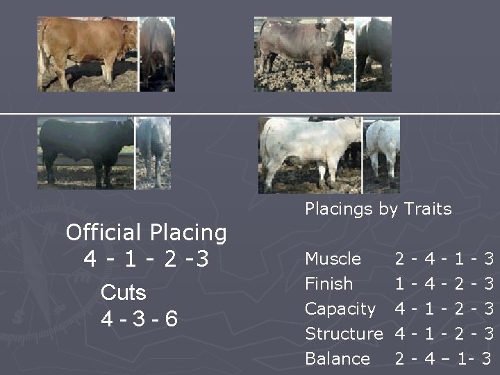 Official Placing 4 - 1 - 2 -3 Cuts 4 -3 -6 Placings by