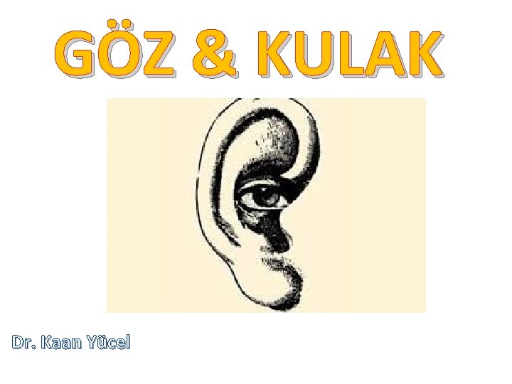 GÖZ & KULAK Dr. Kaan Yücel 