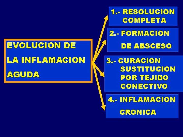 1. - RESOLUCION COMPLETA 2. - FORMACION EVOLUCION DE LA INFLAMACION AGUDA DE ABSCESO