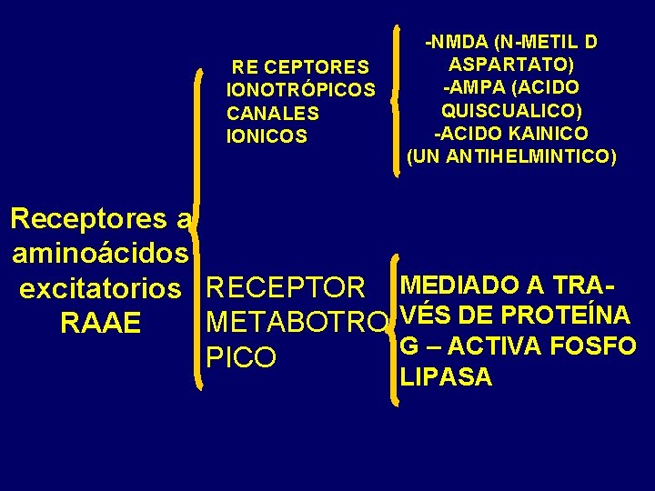 RE CEPTORES IONOTRÓPICOS CANALES IONICOS -NMDA (N-METIL D ASPARTATO) -AMPA (ACIDO QUISCUALICO) -ACIDO KAINICO