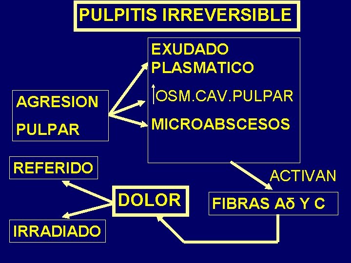 PULPITIS IRREVERSIBLE EXUDADO PLASMATICO AGRESION OSM. CAV. PULPAR MICROABSCESOS REFERIDO ACTIVAN DOLOR IRRADIADO FIBRAS