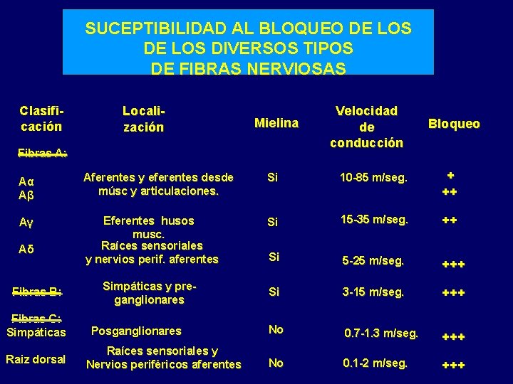 SUCEPTIBILIDAD AL BLOQUEO DE LOS DIVERSOS TIPOS DE FIBRAS NERVIOSAS Clasificación Localización Mielina Fibras