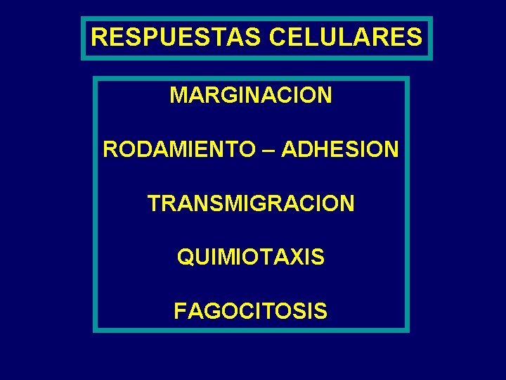 RESPUESTAS CELULARES MARGINACION RODAMIENTO – ADHESION TRANSMIGRACION QUIMIOTAXIS FAGOCITOSIS 