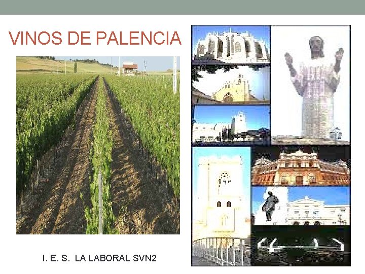 VINOS DE PALENCIA I. E. S. LA LABORAL SVN 2 