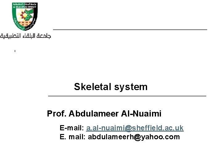 Skeletal system Prof. Abdulameer Al-Nuaimi E-mail: a. al-nuaimi@sheffield. ac. uk E. mail: abdulameerh@yahoo. com