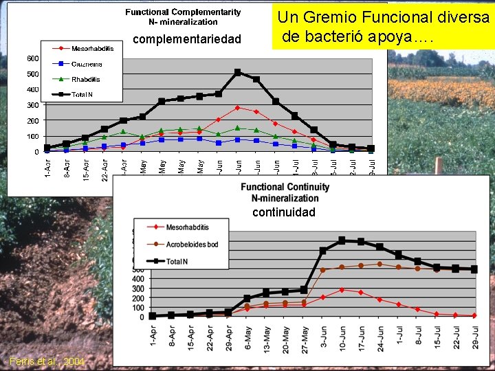 complementariedad Un Gremio Funcional diversa de bacterió apoya…. continuidad Ferris et al. , 2004