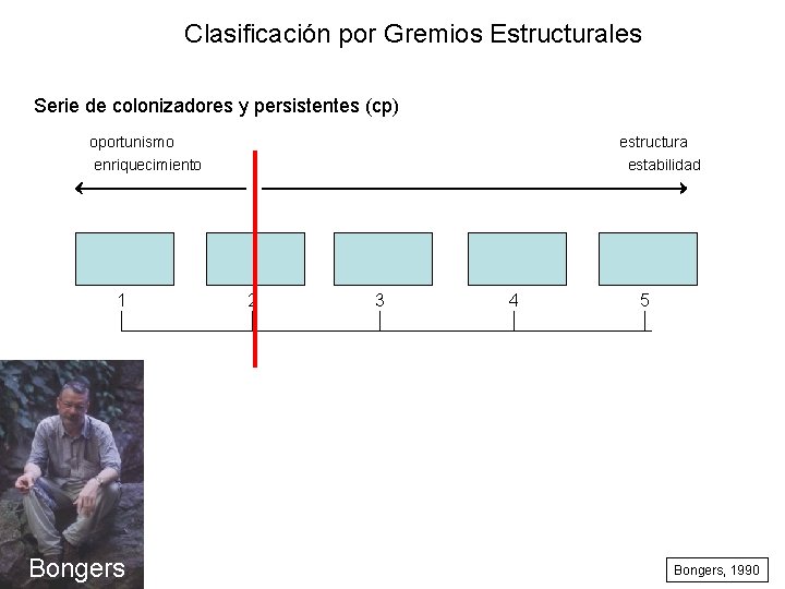Clasificación por Gremios Estructurales Serie de colonizadores y persistentes (cp) oportunismo estructura enriquecimiento 1
