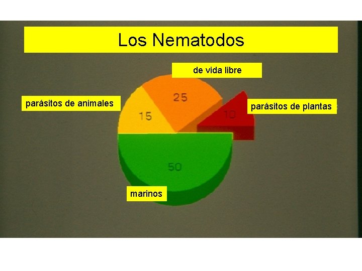 Los Nematodos de vida libre parásitos de animales parásitos de plantas marinos 