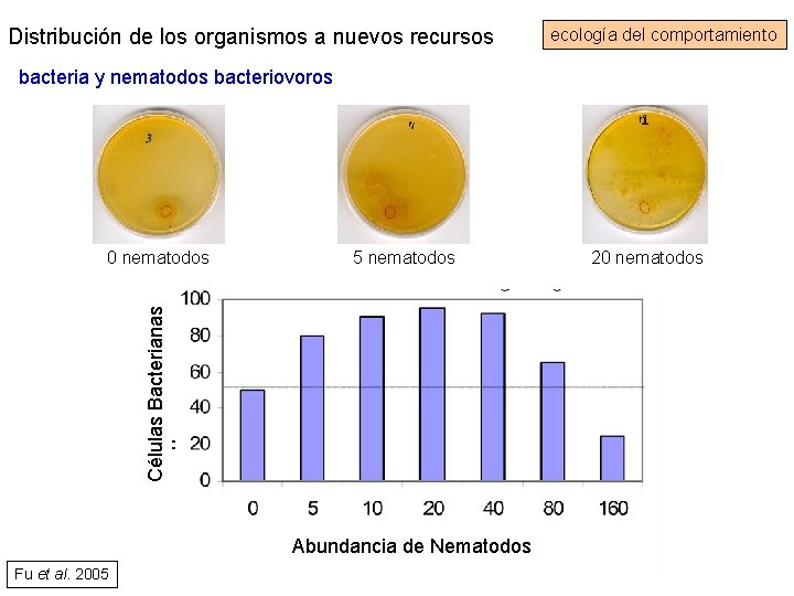 Distribución de los organismos a nuevos recursos ecología del comportamiento bacteria y nematodos bacteriovoros