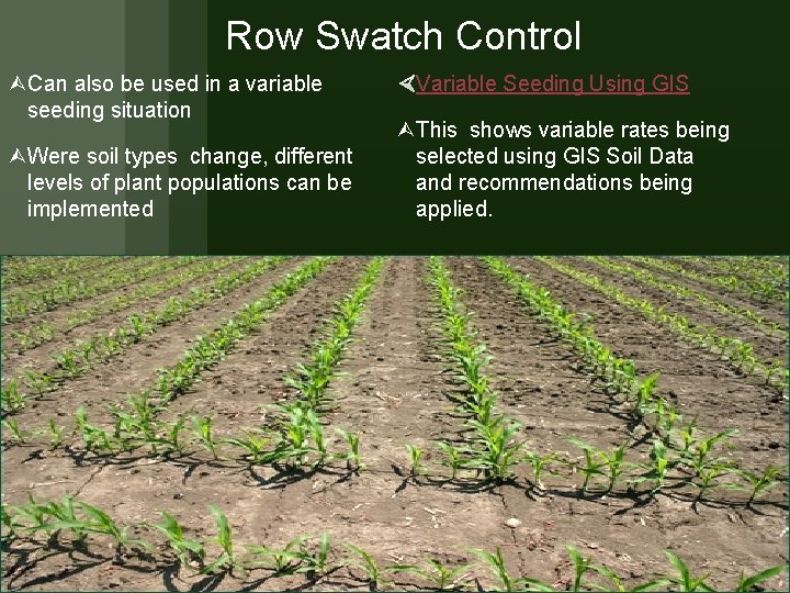 Row Swatch Control Can also be used in a variable seeding situation Were soil