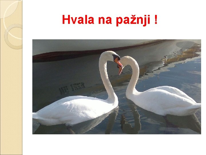 Hvala na pažnji ! 