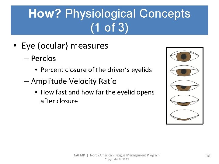 How? Physiological Concepts (1 of 3) • Eye (ocular) measures – Perclos • Percent