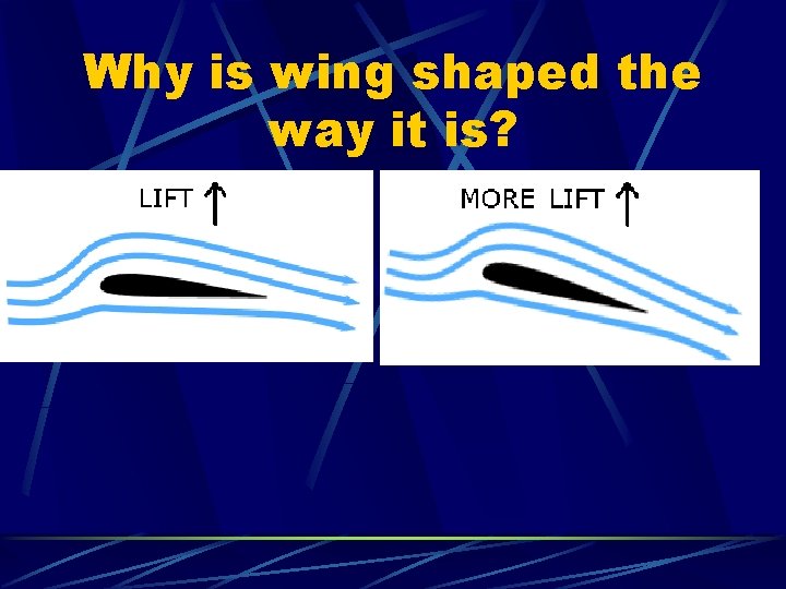 Why is wing shaped the way it is? 