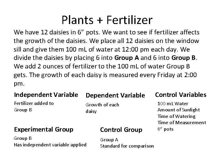 Plants + Fertilizer We have 12 daisies in 6” pots. We want to see