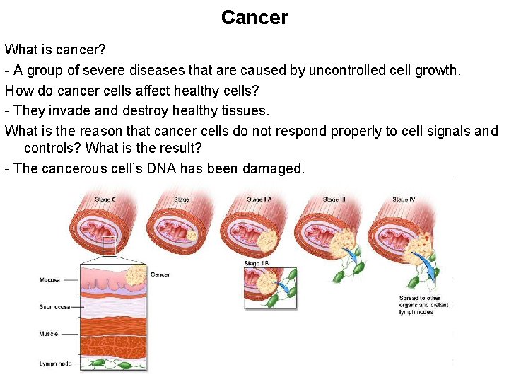Cancer What is cancer? - A group of severe diseases that are caused by
