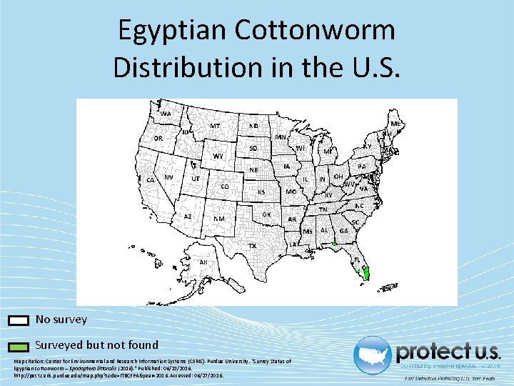 Egyptian Cottonworm Distribution in the U. S. No survey Surveyed but not found Map