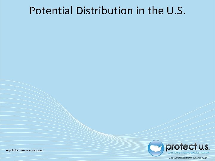 Potential Distribution in the U. S. Map citation: USDA-APHIS-PPQ-CPHST. 