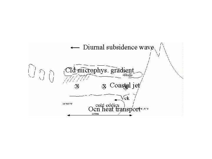 Diurnal subsidence wave Cld microphys. gradient Coastal jet Ocn heat transport 