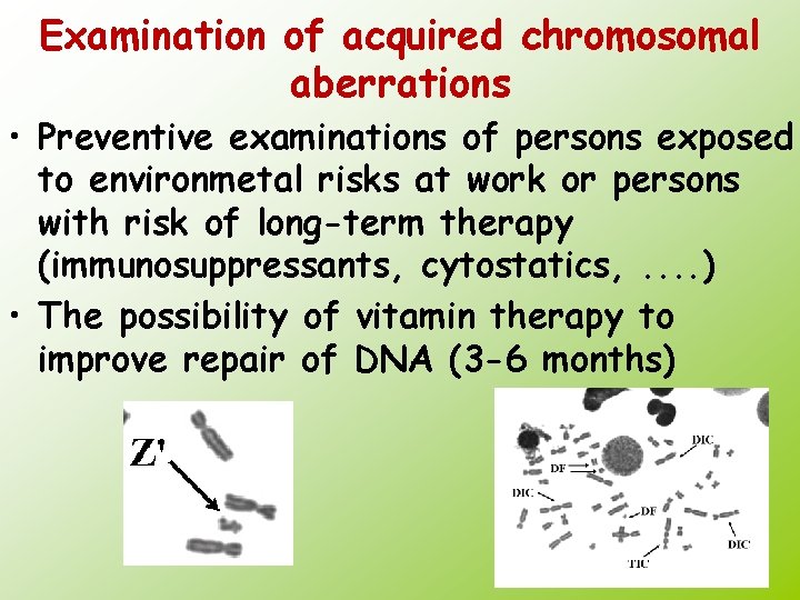Examination of acquired chromosomal aberrations • Preventive examinations of persons exposed to environmetal risks