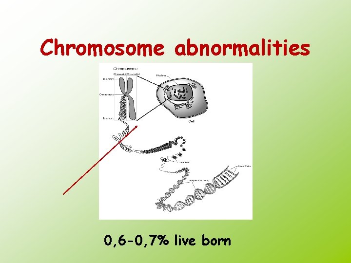 Chromosome abnormalities 0, 6 -0, 7% live born 