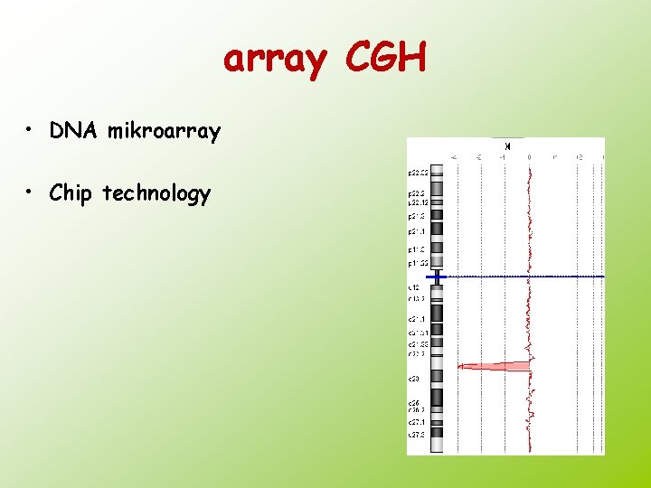 array CGH • DNA mikroarray • Chip technology 