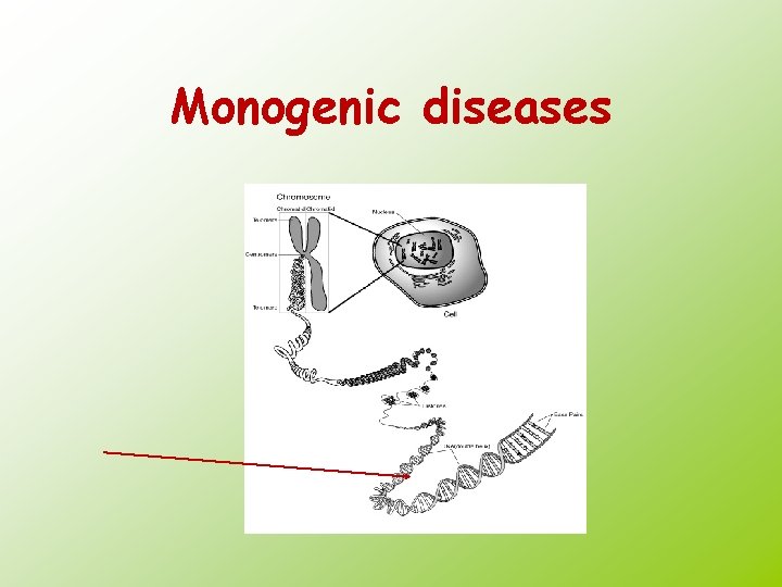 Monogenic diseases 