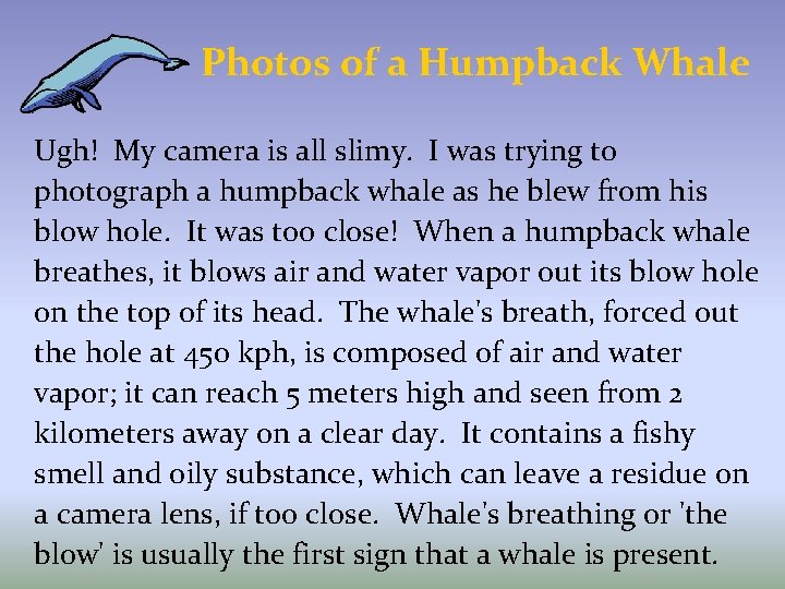 Photos of a Humpback Whale Ugh! My camera is all slimy. I was trying