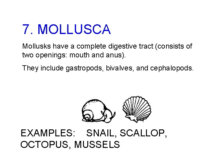 7. MOLLUSCA Mollusks have a complete digestive tract (consists of two openings: mouth and