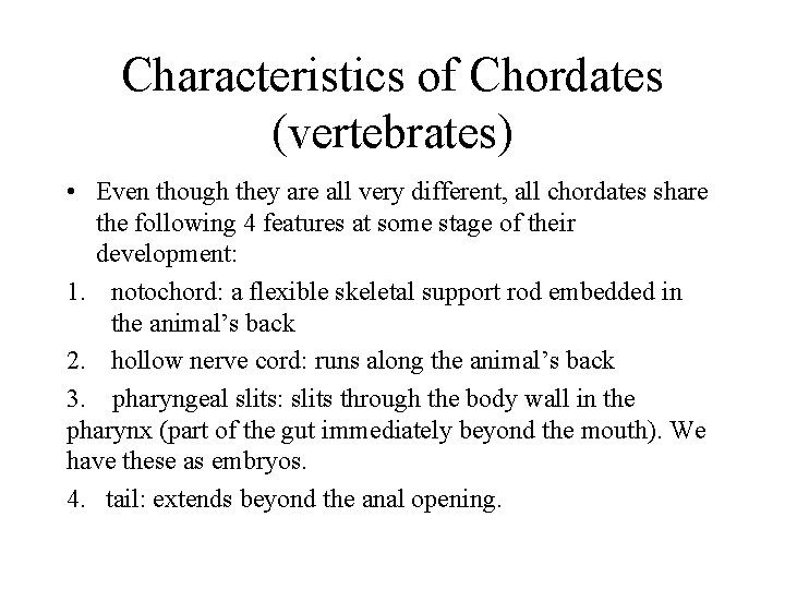 Characteristics of Chordates (vertebrates) • Even though they are all very different, all chordates