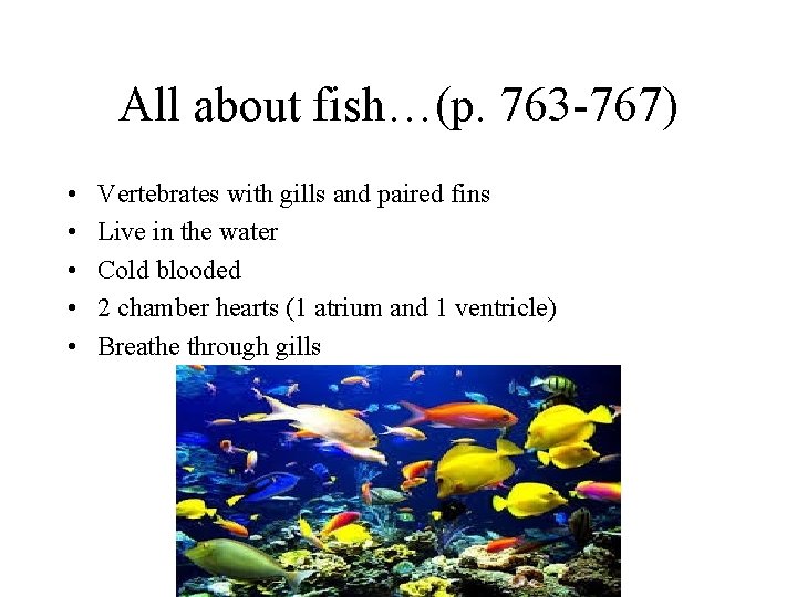 All about fish…(p. 763 -767) • • • Vertebrates with gills and paired fins