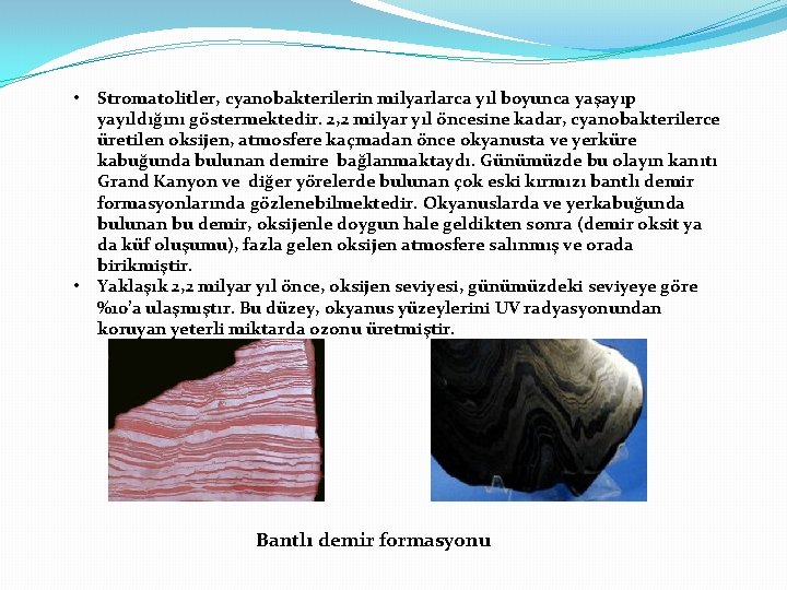  • • Stromatolitler, cyanobakterilerin milyarlarca yıl boyunca yaşayıp yayıldığını göstermektedir. 2, 2 milyar