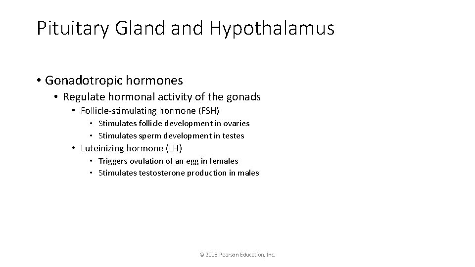 Pituitary Gland Hypothalamus • Gonadotropic hormones • Regulate hormonal activity of the gonads •