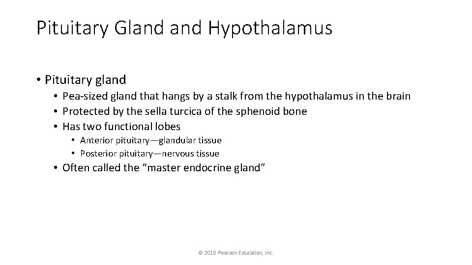 Pituitary Gland Hypothalamus • Pituitary gland • Pea-sized gland that hangs by a stalk