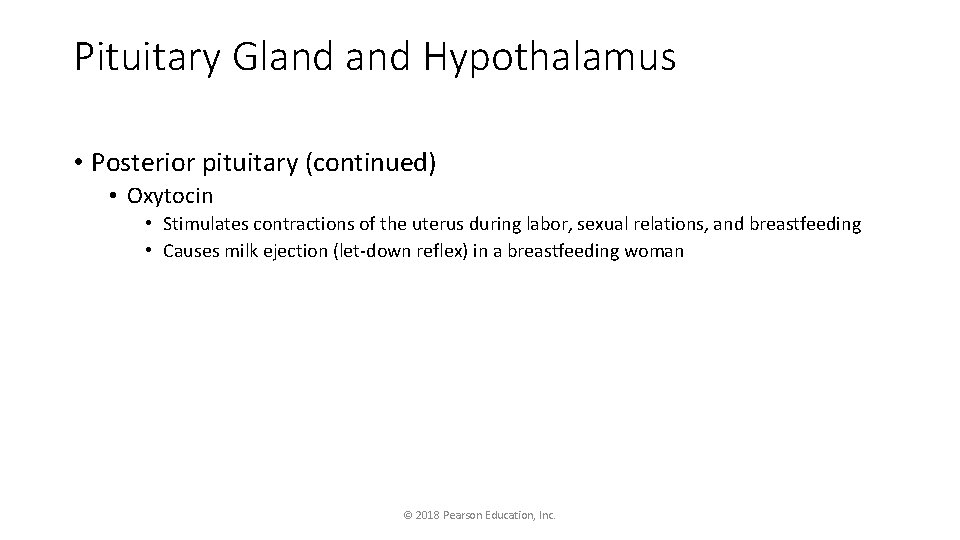 Pituitary Gland Hypothalamus • Posterior pituitary (continued) • Oxytocin • Stimulates contractions of the