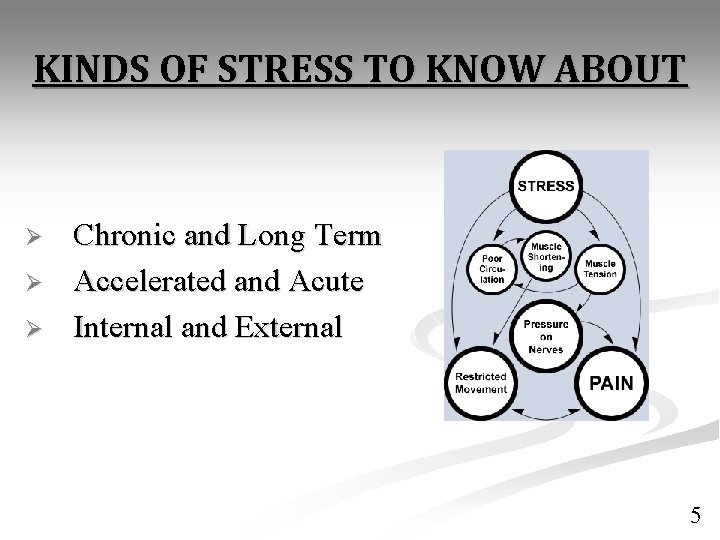 KINDS OF STRESS TO KNOW ABOUT Ø Ø Ø Chronic and Long Term Accelerated