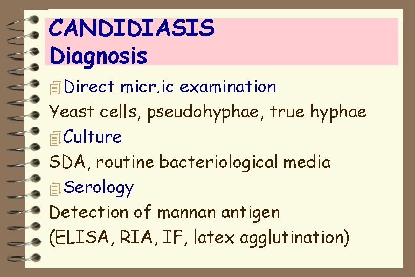CANDIDIASIS Diagnosis 4 Direct micr. ic examination Yeast cells, pseudohyphae, true hyphae 4 Culture