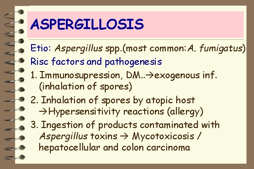 ASPERGILLOSIS Etio: Aspergillus spp. (most common: A. fumigatus) Risc factors and pathogenesis 1. Immunosupression,