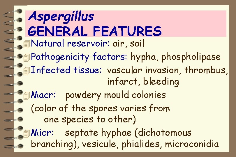 Aspergillus GENERAL FEATURES 4 Natural reservoir: air, soil 4 Pathogenicity factors: hypha, phospholipase 4