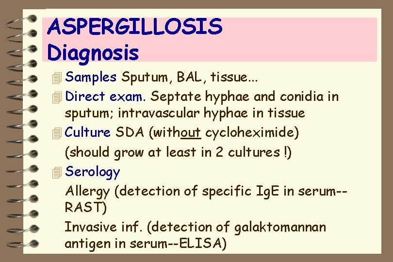 ASPERGILLOSIS Diagnosis 4 Samples Sputum, BAL, tissue. . . 4 Direct exam. Septate hyphae