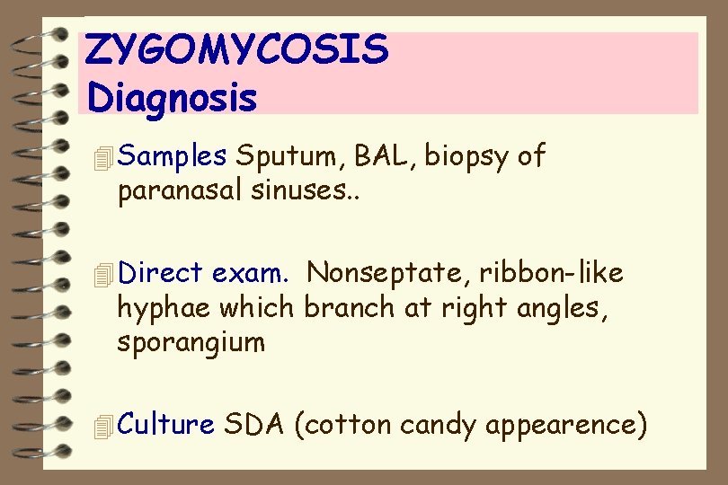 ZYGOMYCOSIS Diagnosis 4 Samples Sputum, BAL, biopsy of paranasal sinuses. . 4 Direct exam.