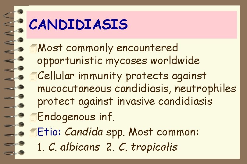 CANDIDIASIS 4 Most commonly encountered opportunistic mycoses worldwide 4 Cellular immunity protects against mucocutaneous